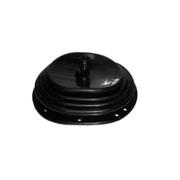 SHIFTER BOOT